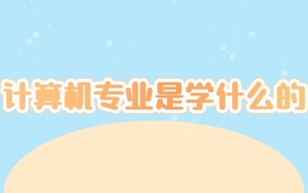计算机专业是学什么的？揭秘“数字世界建筑师”的修炼手册  