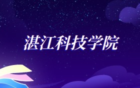 2025湛江科技学院电气工程及其自动化专业录取分数线：各省最低411分