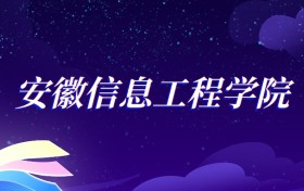 2025安徽信息工程学院电气工程及其自动化专业录取分数线：各省最低456分