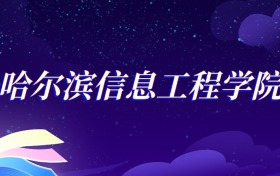 2025哈尔滨信息工程学院数据科学与大数据技术专业录取分数线：各省最低393分