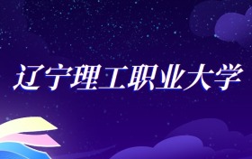 2025辽宁理工职业大学智慧健康养老服务与管理专业录取分数线：各省最低179分