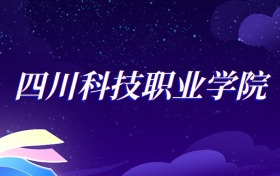 2025四川科技职业学院智能产品开发与应用专业录取分数线：各省最低249分