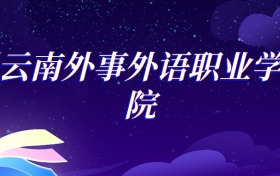 2025云南外事外语职业学院学前教育专业录取分数线：各省最低234分