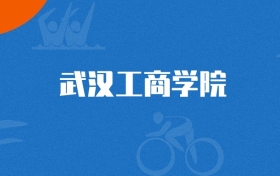 2025年武汉工商学院机器人工程专业录取分数线（2026参考）