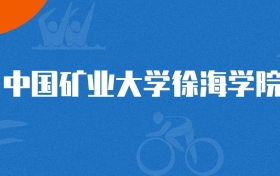 2025年中国矿业大学徐海学院跨境电子商务专业录取分数线