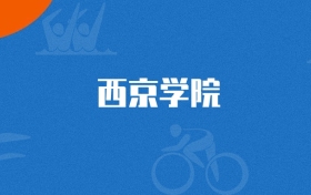 2025年西京学院自动化专业录取分数线（多省汇总，2026参考）