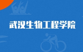 2025年武汉生物工程学院软件工程专业录取分数线（2026参考）