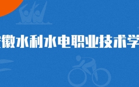 2025年安徽水利水電職業(yè)技術(shù)學(xué)院電子商務(wù)專業(yè)錄取分?jǐn)?shù)線
