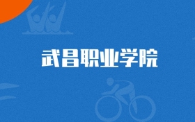 2025年武昌职业学院党务工作专业录取分数线（多省汇总，2026参考）