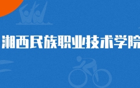 2025年湘西民族职业技术学院电力系统自动化技术专业录取分数线
