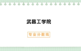 2025年武昌工學(xué)院人力資源管理專業(yè)錄取分?jǐn)?shù)線、選科要求