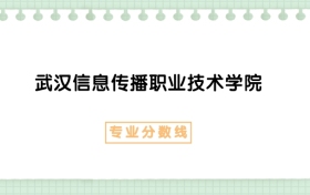 2025年武汉信息传播职业技术学院网络营销与直播电商专业录取分数线、选科要求