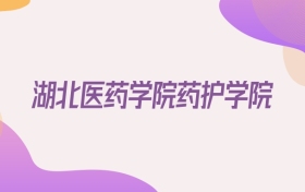 2026湖北医药学院药护学院在广东招生代码查询
