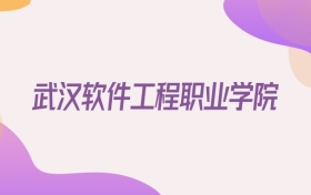 2026武汉软件工程职业学院在安徽招生代码查询