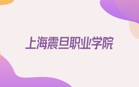 2026上海震旦职业学院在宁夏招生代码查询：含学校代码+专业代码
