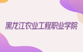 2026黑龙江农业工程职业学院在重庆招生代码查询
