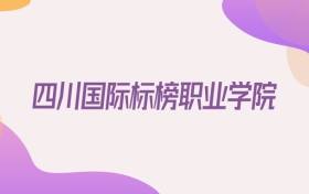 2026四川国际标榜职业学院在江西招生代码查询