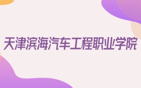 2026天津濱海汽車工程職業(yè)學院在天津招生代碼查詢