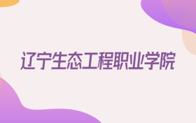 2026辽宁生态工程职业学院在新疆招生代码查询