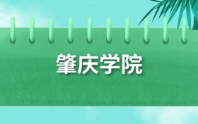肇庆学院录取分数线2025：最低要427分才能进！