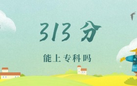 河北313分能上专科吗？附文理科好大学推荐