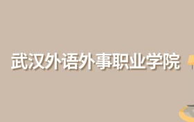 2025年武汉外语外事职业学院录取分数线！