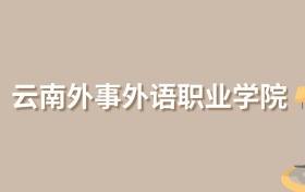 2025年云南外事外语职业学院录取分数线！
