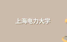 2025年上海電力大學(xué)錄取分?jǐn)?shù)線！含中外合作、國家專項(xiàng)