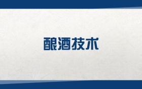 2025酿酒技术专业在浙江省录取分数线：含大学最新排名