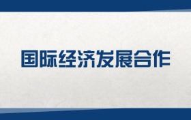 2025国际经济发展合作专业在上海市录取分数线（2026参考）