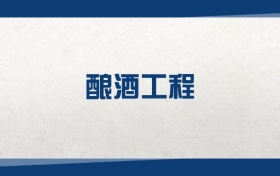 2025酿酒工程专业在内蒙古录取分数线：含大学最新排名