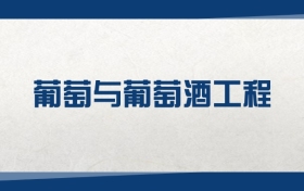 2025葡萄与葡萄酒工程专业在内蒙古录取分数线（2026参考）