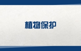 2025植物保护专业在内蒙古录取分数线：含大学最新排名