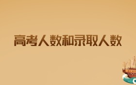2025年高考人数和录取人数:应届生必看的权威数据解析