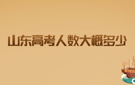 2026年山东高考人数大概多少?新一届考生家长需知的核心数据