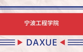 寧波工程學(xué)院2025全國(guó)招生計(jì)劃表：附錄取分?jǐn)?shù)線