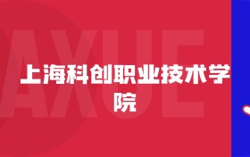 2025上?？苿?chuàng)職業(yè)技術(shù)學(xué)院專業(yè)排名及錄取分?jǐn)?shù)線表