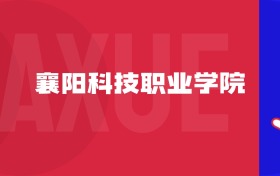 2025襄陽科技職業(yè)學(xué)院專業(yè)排名及錄取分?jǐn)?shù)線表（附招生計劃）