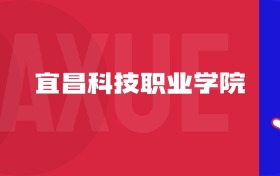2025宜昌科技職業(yè)學(xué)院專業(yè)排名及錄取分?jǐn)?shù)線表（附招生計劃）