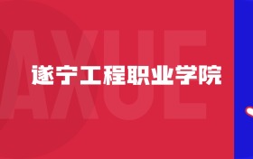 2025遂寧工程職業(yè)學(xué)院專業(yè)排名及錄取分?jǐn)?shù)線表（附招生計劃）
