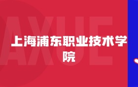 2025上海浦東職業(yè)技術(shù)學(xué)院專業(yè)排名及錄取分?jǐn)?shù)線表