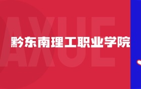 2025黔東南理工職業(yè)學(xué)院專業(yè)排名及錄取分?jǐn)?shù)線表