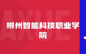 2025郴州智能科技職業(yè)學(xué)院專(zhuān)業(yè)排名及錄取分?jǐn)?shù)線表