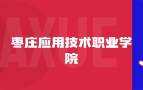 2025棗莊應(yīng)用技術(shù)職業(yè)學(xué)院專(zhuān)業(yè)排名及錄取分?jǐn)?shù)線表