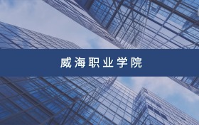 威海职业学院定向士官专业及分数线汇总（2026参考）