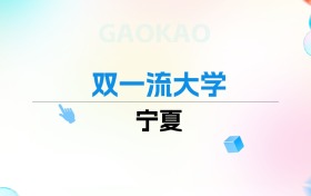 2026年宁夏双一流大学排名表：附录取分数线