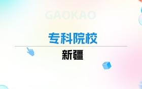 2026年新疆专科院校排名表：附录取分数线