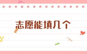 2026年志愿能填幾個？各省規(guī)則大不同