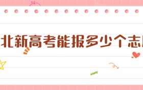 2026湖北新高考能報(bào)多少個(gè)志愿？一文看懂各批次填報(bào)策略
