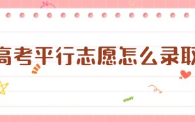 2026年高考平行志愿怎么錄?。喝笤瓌t與填報(bào)策略詳解